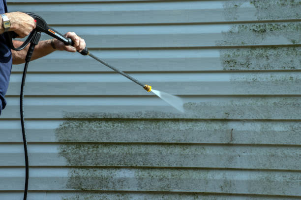 Best Fence Pressure Washing  in South Shore, KY