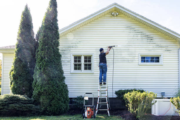 Best Roof Power Washing Services  in South Shore, KY