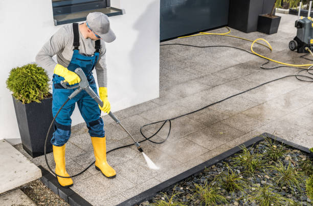 Best Pressure Washing Company Near Me  in South Shore, KY