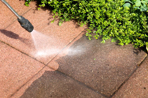 Best Local Pressure Washing Services  in South Shore, KY